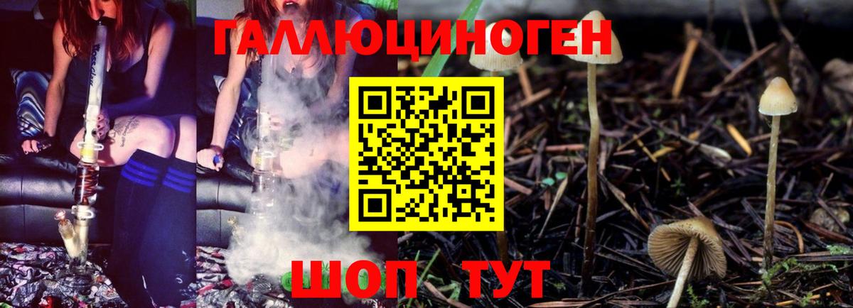 что такое   Псилоцибиновые грибы GOLDEN TEACHER  Вход с VPN  Урюпинск 